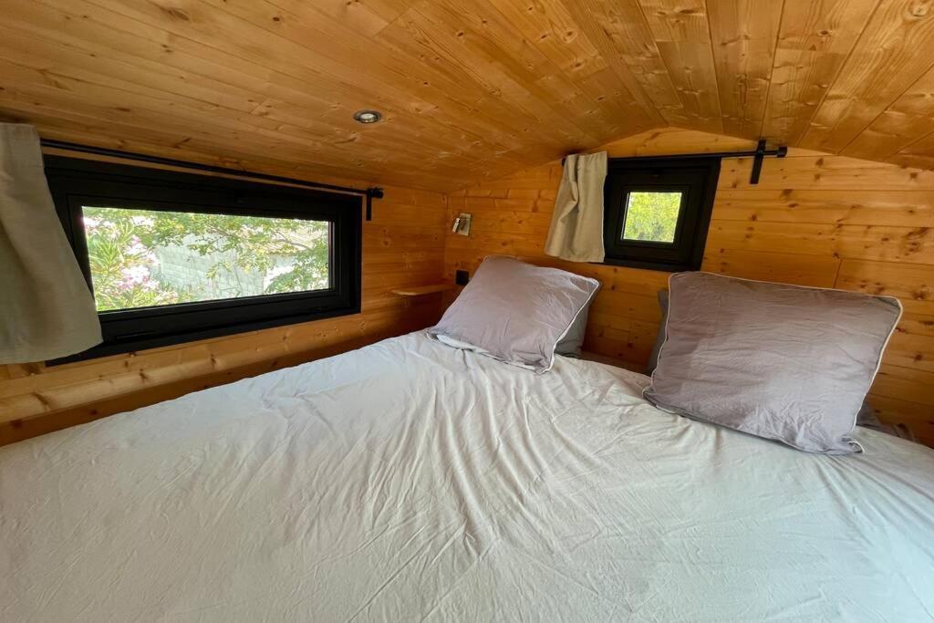 Myinsolite - Tiny-House, Jacuzzi, Brasero, Piscine 艾格-莫尔特 外观 照片