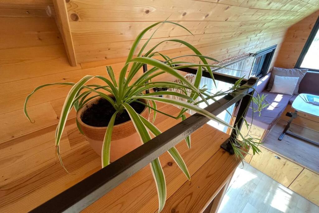 Myinsolite - Tiny-House, Jacuzzi, Brasero, Piscine 艾格-莫尔特 外观 照片