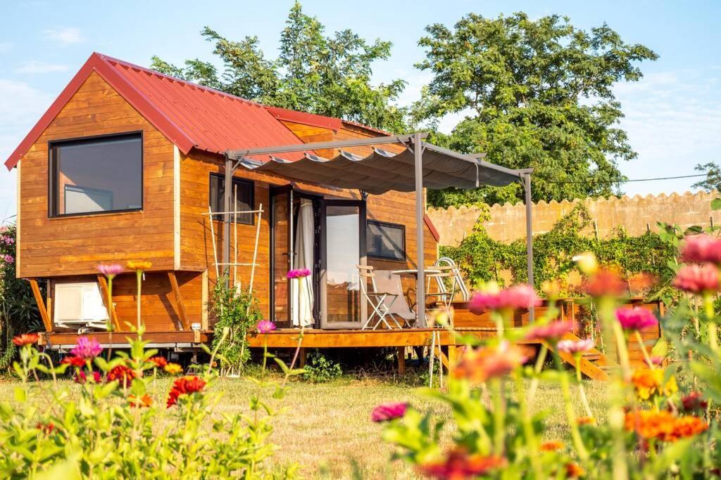 Myinsolite - Tiny-House, Jacuzzi, Brasero, Piscine 艾格-莫尔特 外观 照片