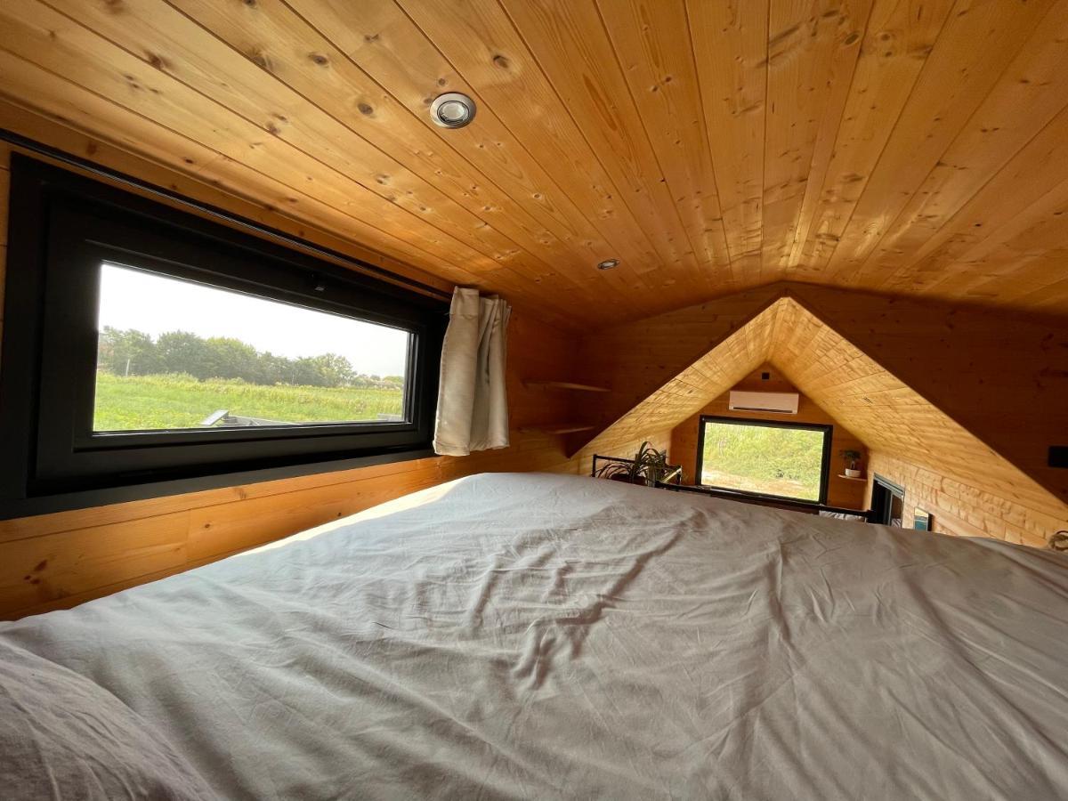 Myinsolite - Tiny-House, Jacuzzi, Brasero, Piscine 艾格-莫尔特 外观 照片